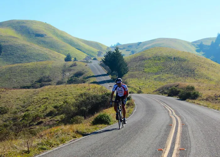 Marin Hilltop