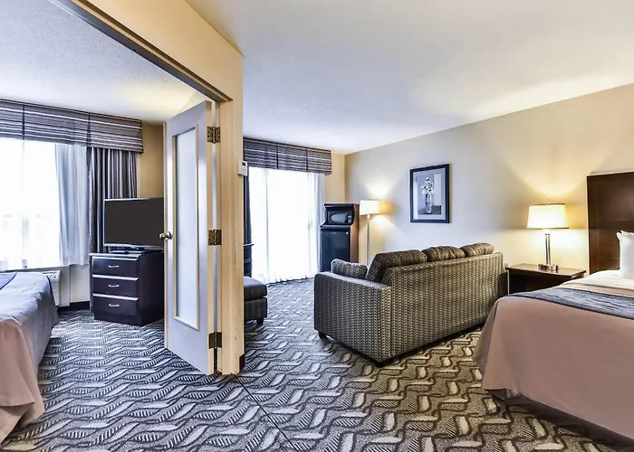 Pets Allowed Hotel Comfort Inn & Suites Ambassador Bridge