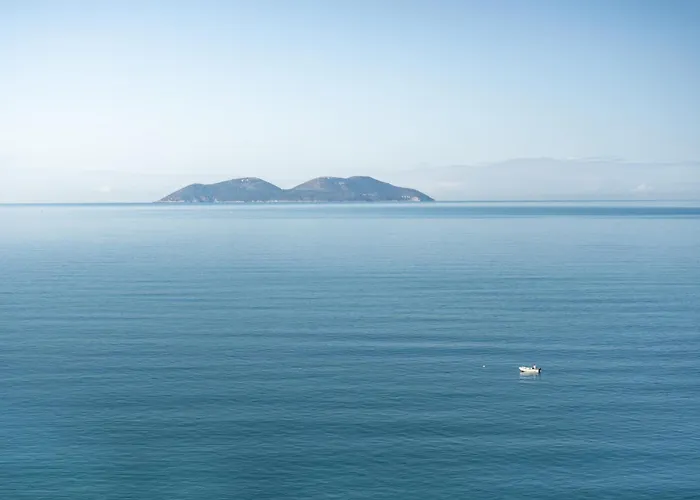 Vlora Priam, Affiliated By Melia