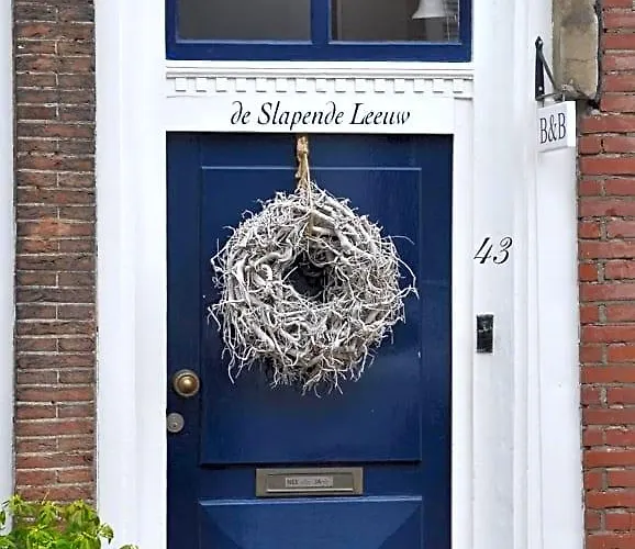  Slapende Leeuw