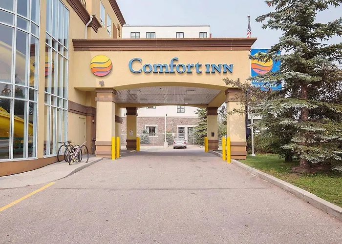 Beach Hotels Comfort Inn & Suites University