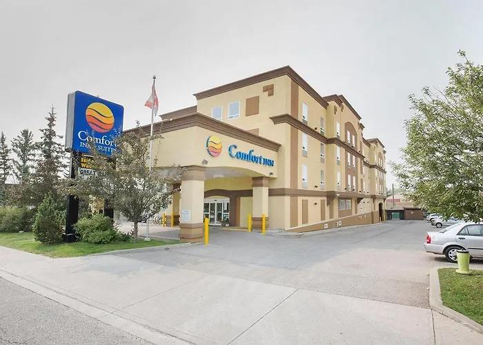 Beach Hotels Comfort Inn & Suites University