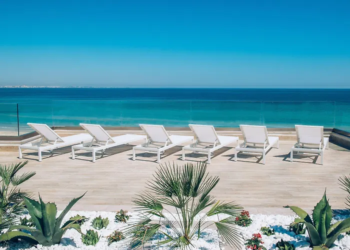 Animaux admis Iberostar Selection Kuriat Palace