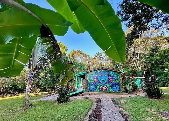 Bocawina Rainforest
