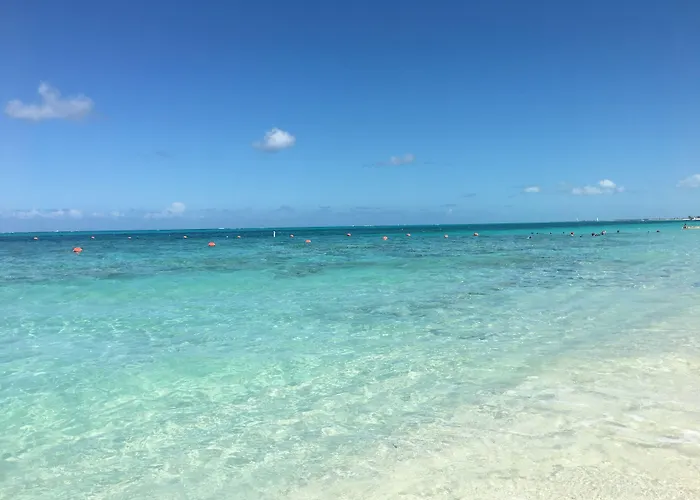 Coral Gardens On Grace Bay