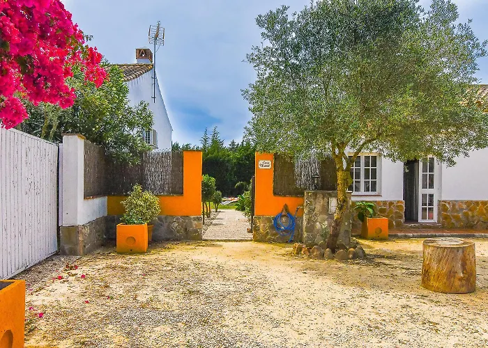 Villas Dehesa Roche Viejo