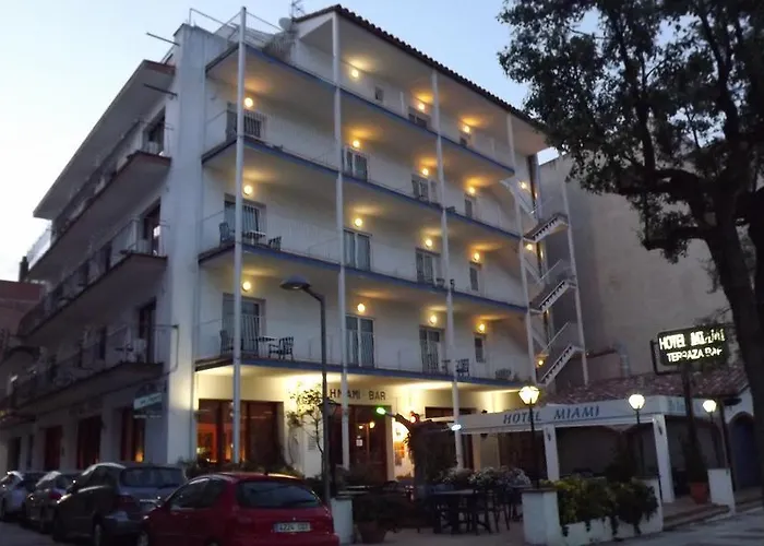 Hôtel accueillant les animaux: Hotel Miami