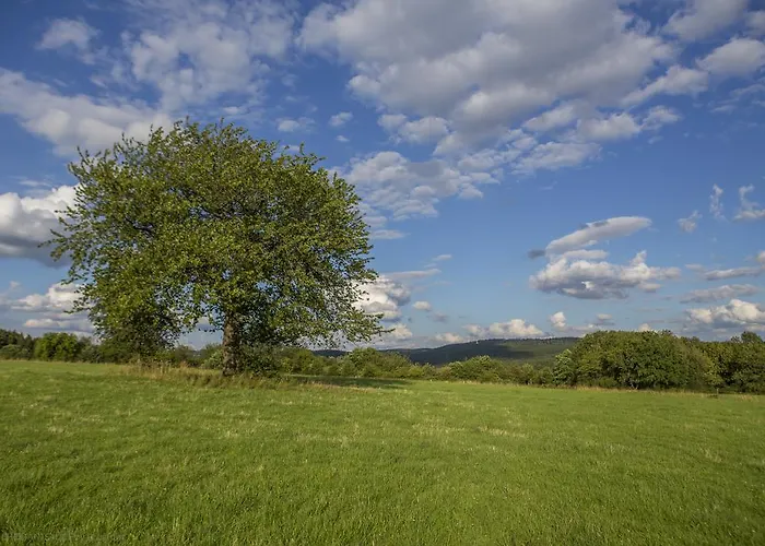 B&B Chez Tante Alice