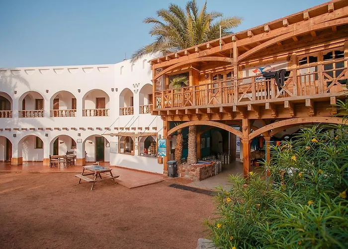 Hotel near College: Dahab Divers