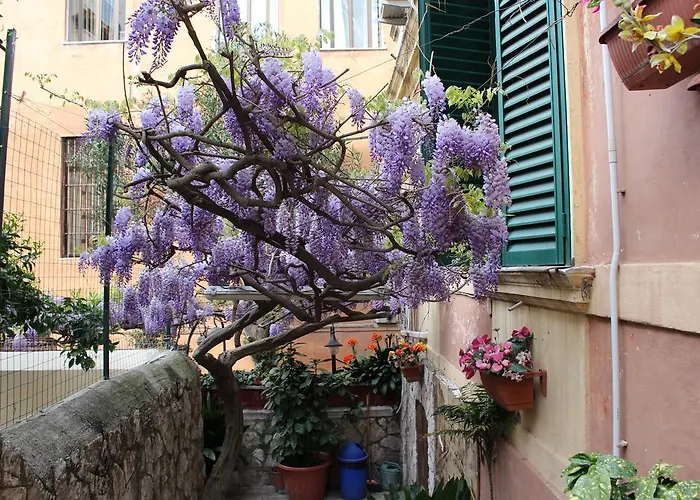 Pet Friendly hotel: Hotel Pavia