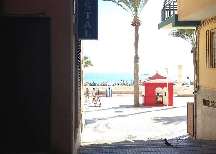 Hotel: Hostal Delfin Verde