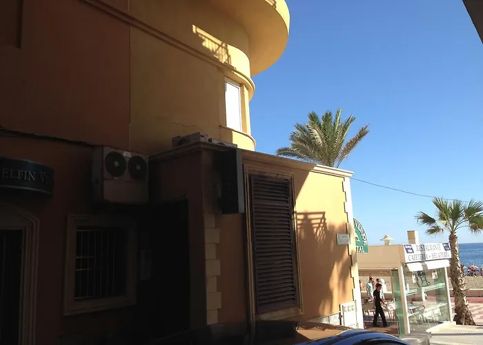 Hotel: Hostal Delfin Verde