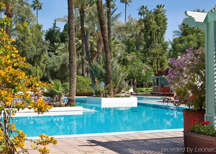 Hôtel accueillant les animaux: Kenzi Farah