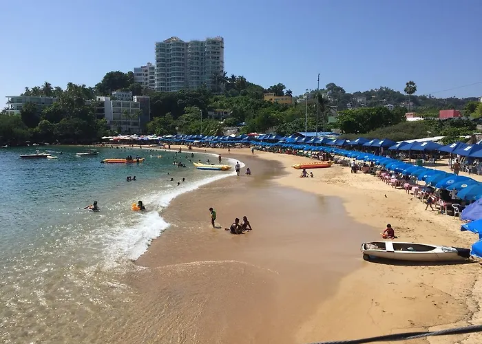 Oasis