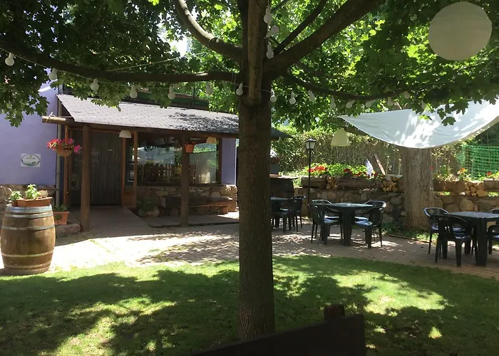 Albergue Pájaro Loco