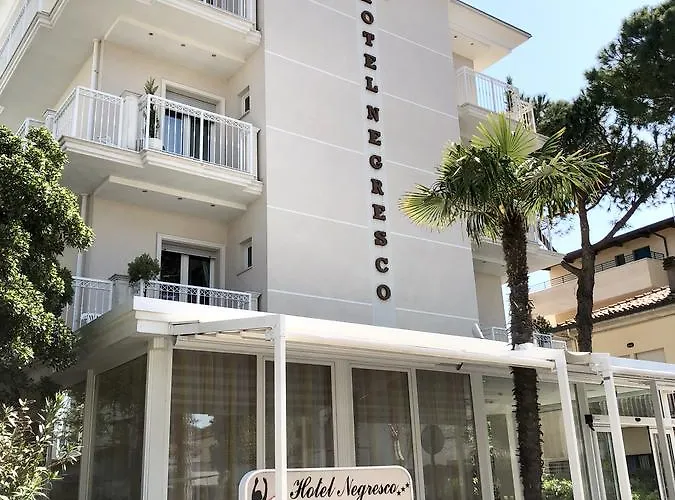 Hotel adatto agli animali: Hotel Negresco