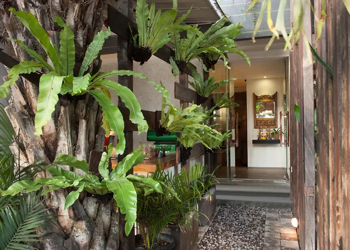 Сity center hotels Grandmas Plus Legian