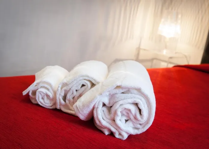 Hotel que admite mascotas: Domus Fabiola - Vaticano