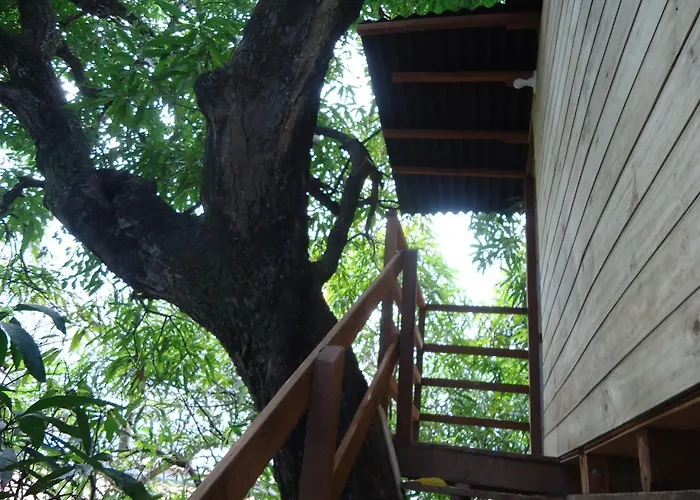 Alojamento com o café da manhã Apenas: Casa na Árvore