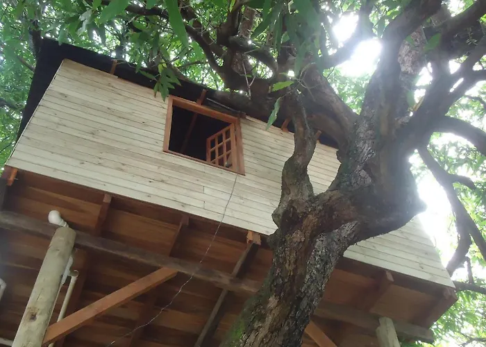 Alojamento com o café da manhã Apenas: Casa na Árvore