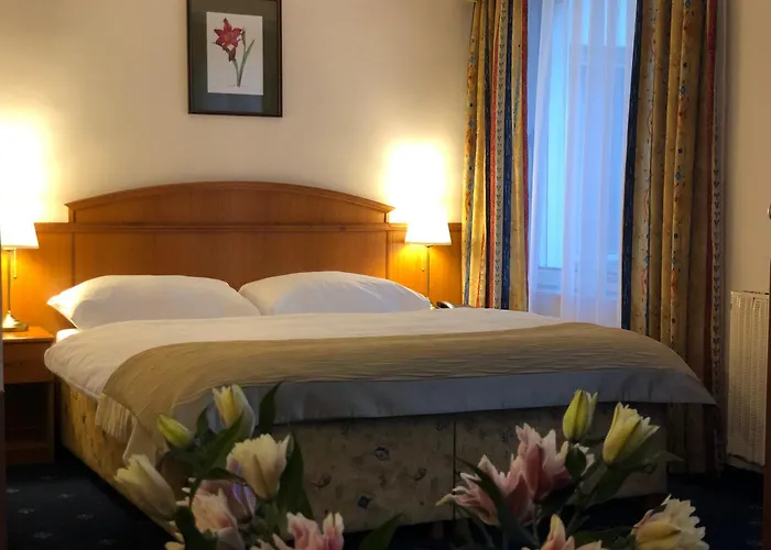 Huisdiervriendelijk hotel: Kavalir