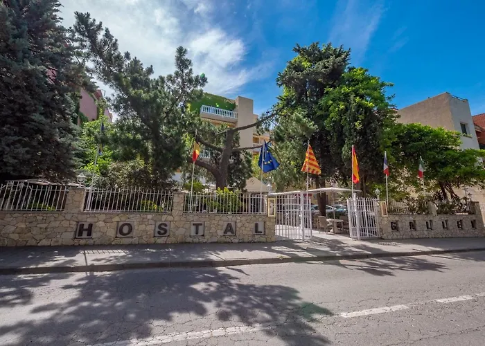 Hôtel accueillant les animaux: Hostal Gallet