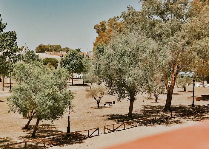 Doñana 51