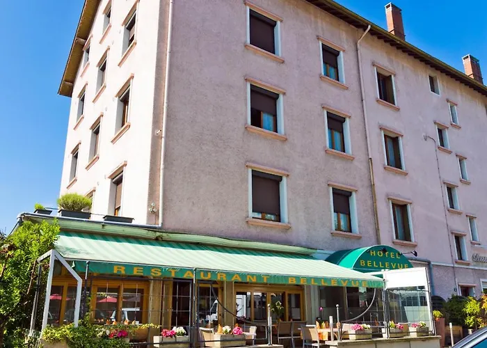 Hôtel accueillant les animaux: Logis Hôtel Restaurant Bellevue Annecy