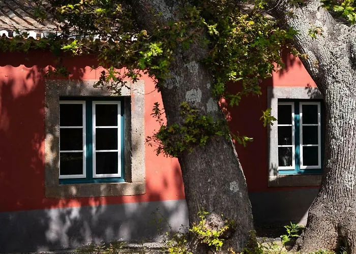 Hotel com vista: Quinta Das Vinhas