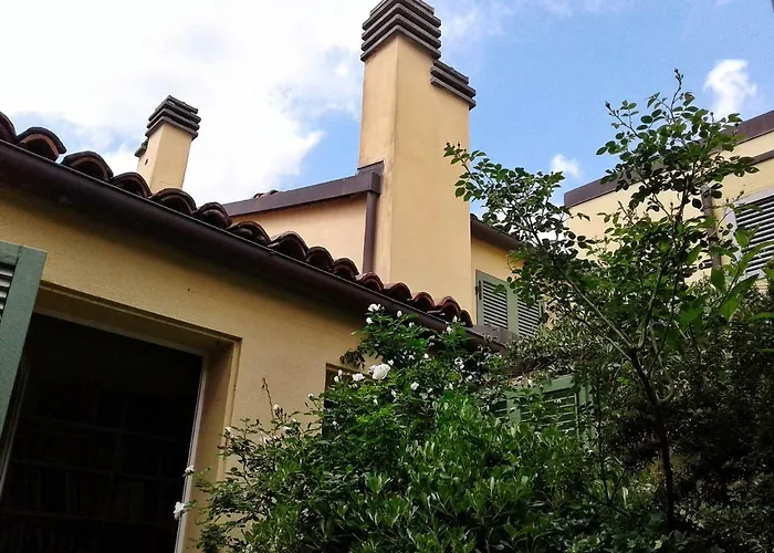  Griffoni 7