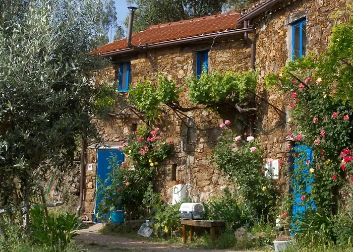 Guest Room Agro-Turismo Quinta Da Fonte Bed&Breakfast Figueiro Dos Vinhos