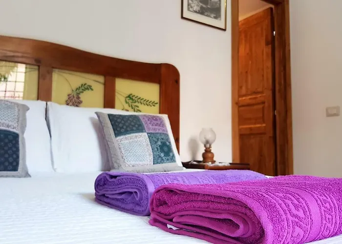 Hotel adatto agli animali: Il Giardino Al Pigneto