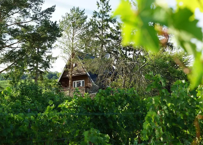 Vacationhome In The Vineyards