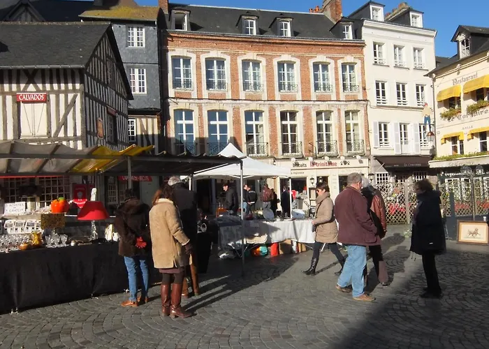 Animaux admis Mansion Victorine