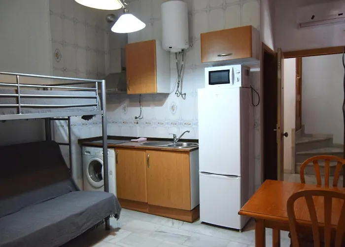 Hotel que admite mascotas: Apartamento Feria 2