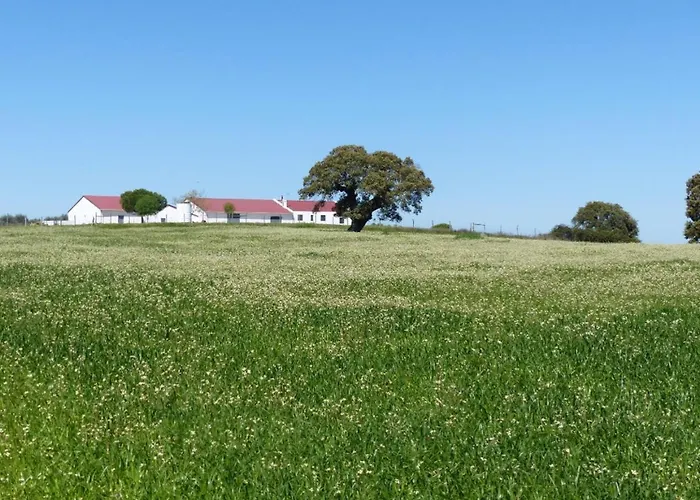 Hotel que aceita animais de estimação: Herdade Da Carapuca- Casa De Campo