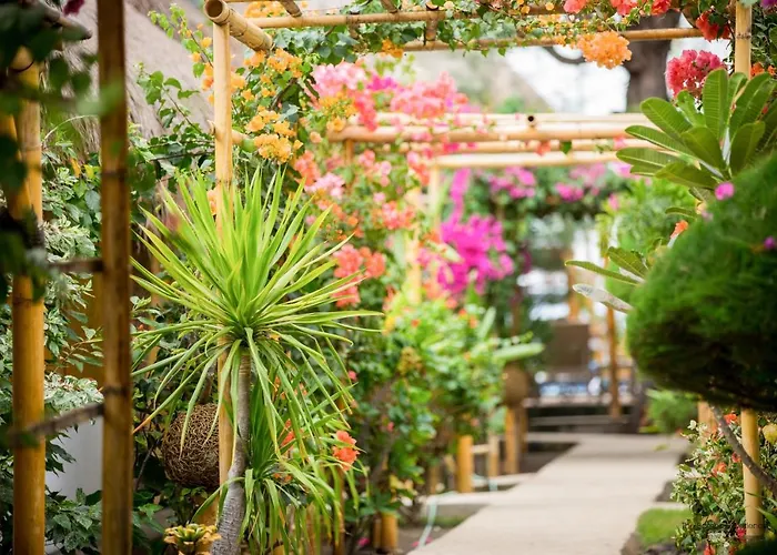 Bambu Cottages