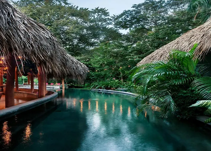 The Space Jungle Oasis