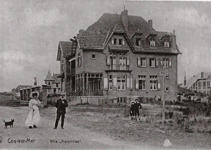 De Gouden Haan