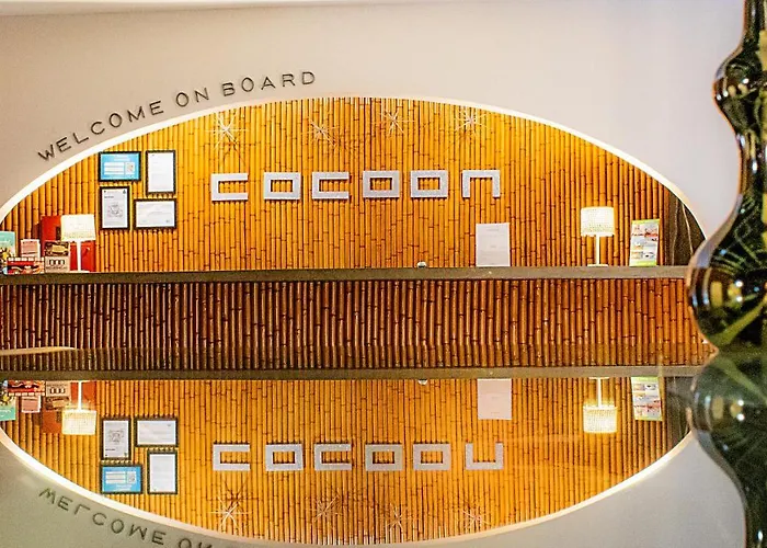 Cocoon & Lounge